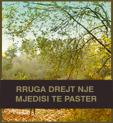 rruga-drejt-nje-mjedisi-te-paster